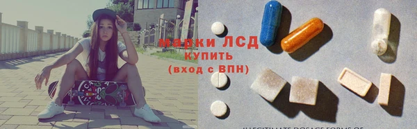spice Бородино