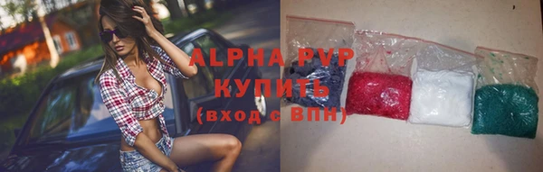 spice Бородино