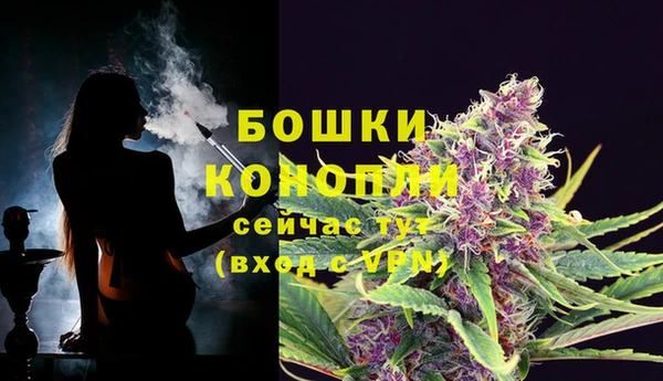 spice Бородино
