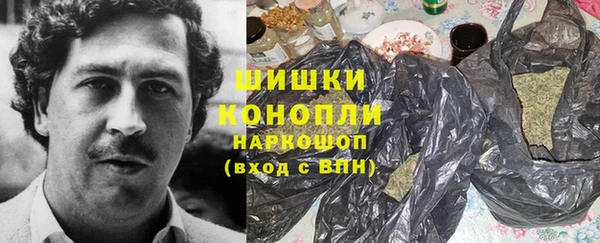 spice Бородино