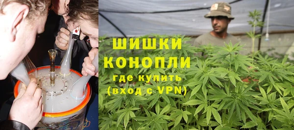 spice Бородино