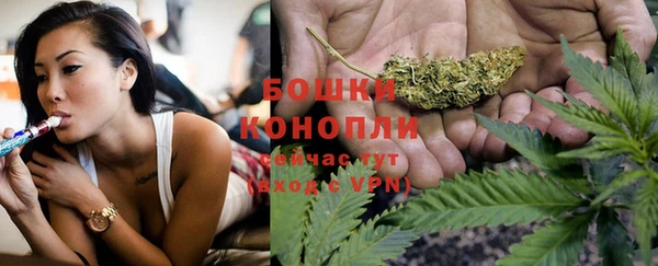 spice Бородино