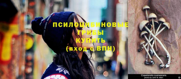 прущая мука Бронницы