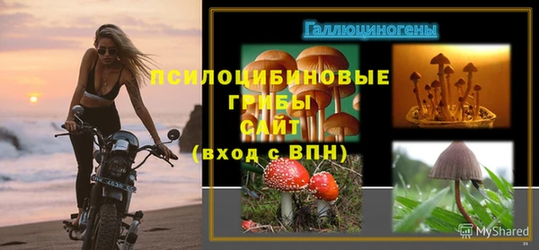 прущая мука Бронницы