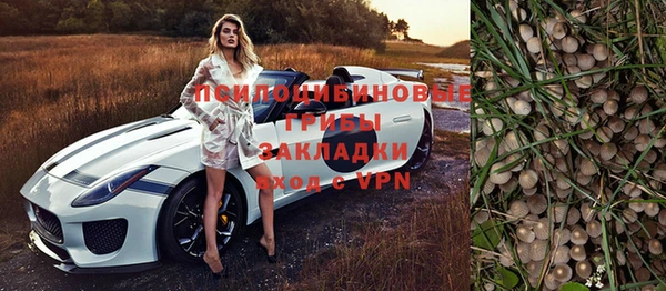 spice Бородино